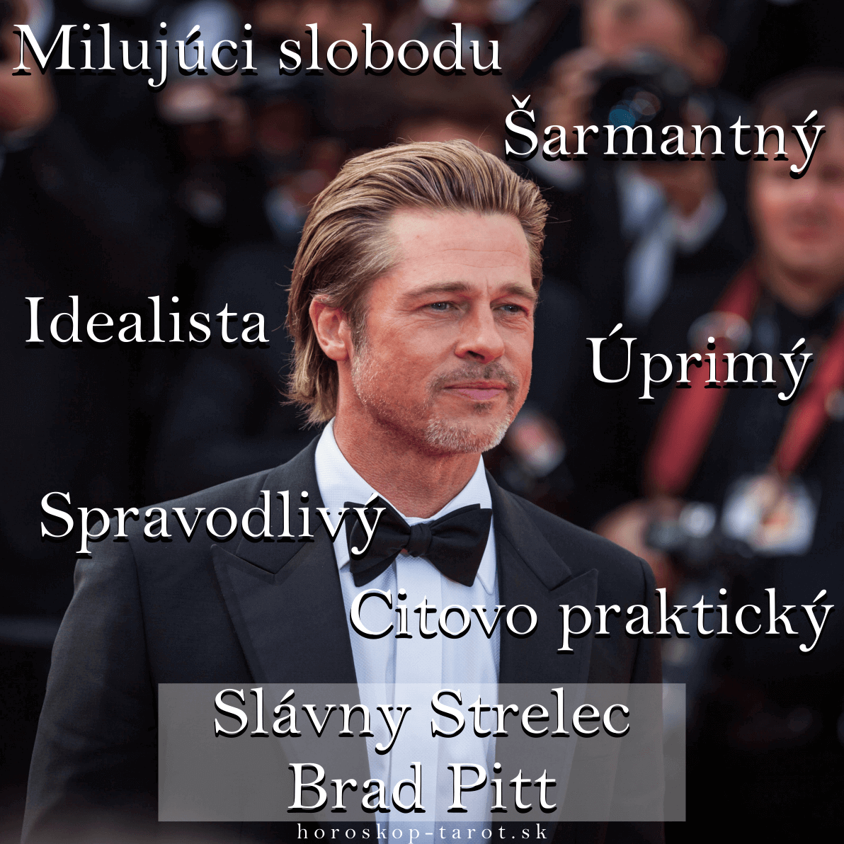  herec Brad Pitt - Strelec